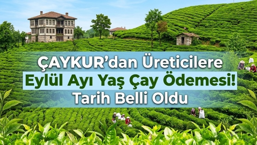 ÇAYKUR’dan Üreticilere Eylül Ayı Yaş Çay Ödemesi! Tarih Belli Oldu